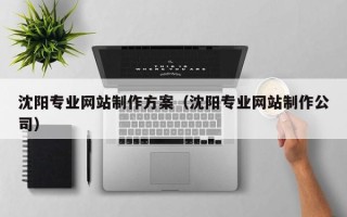 定安沈阳专业网站制作方案（沈阳专业网站制作公司）